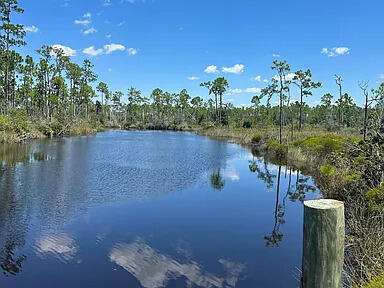 Landings At Wetappo - Land