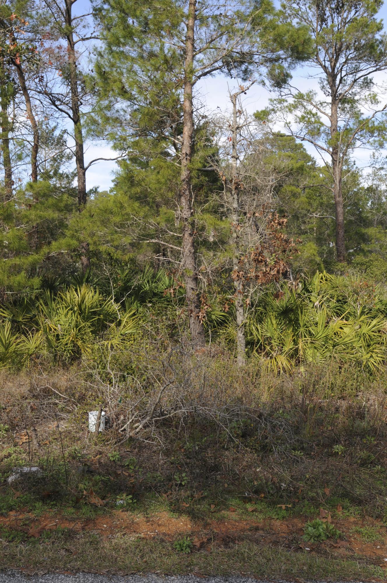 GULFVIEW HEIGHTS 1ST ADDN - Land