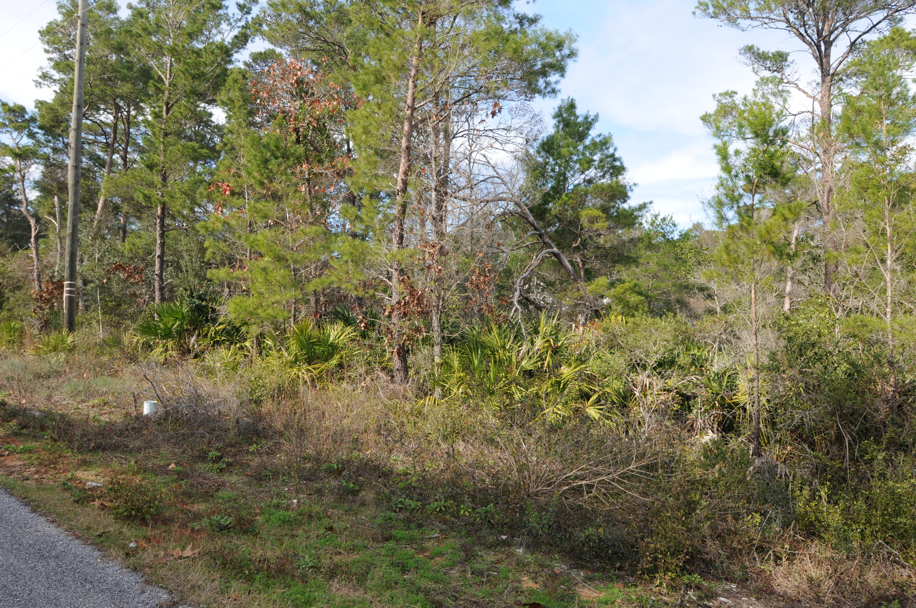 GULFVIEW HEIGHTS 1ST ADDN - Land