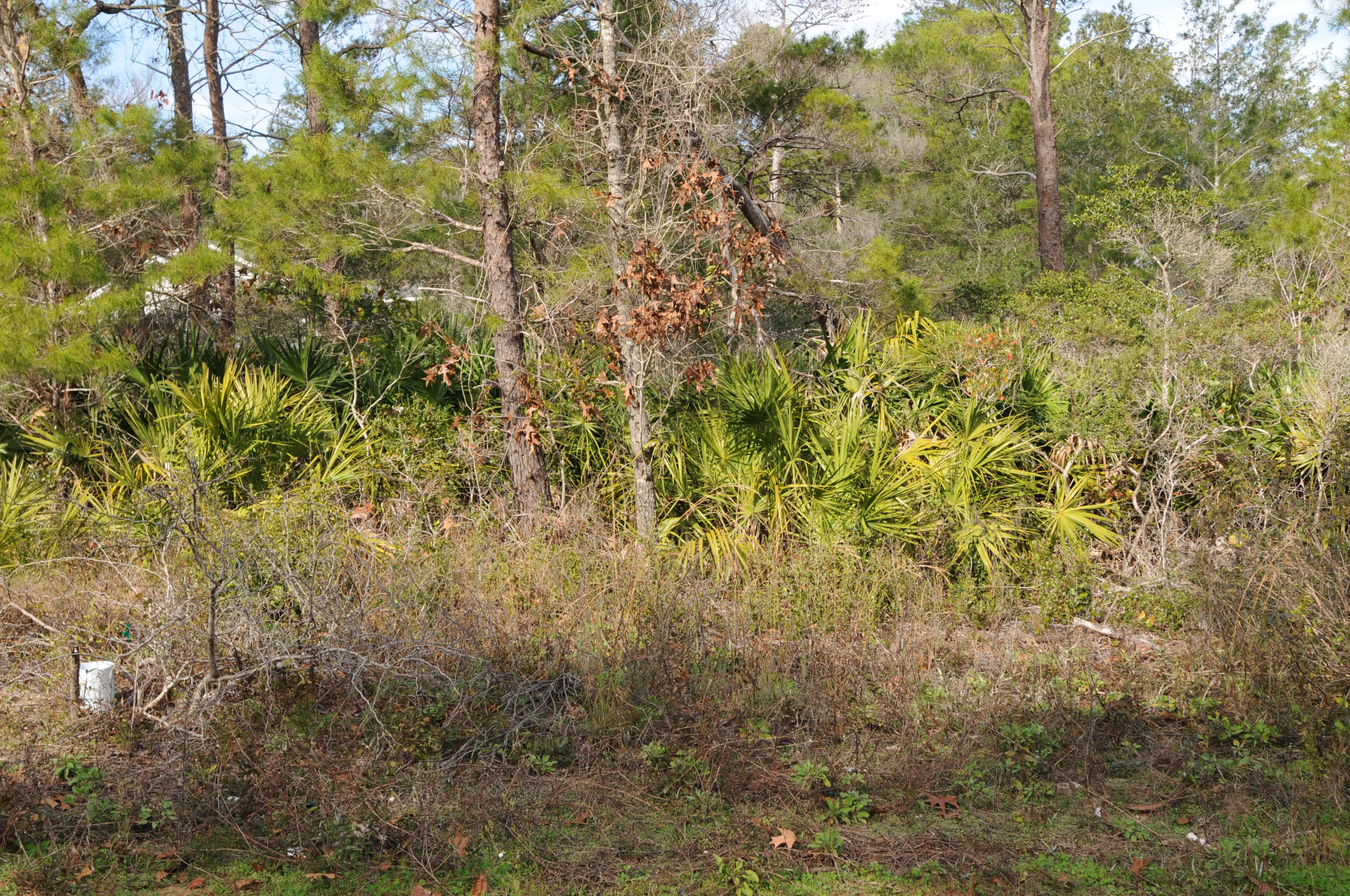 GULFVIEW HEIGHTS 1ST ADDN - Land