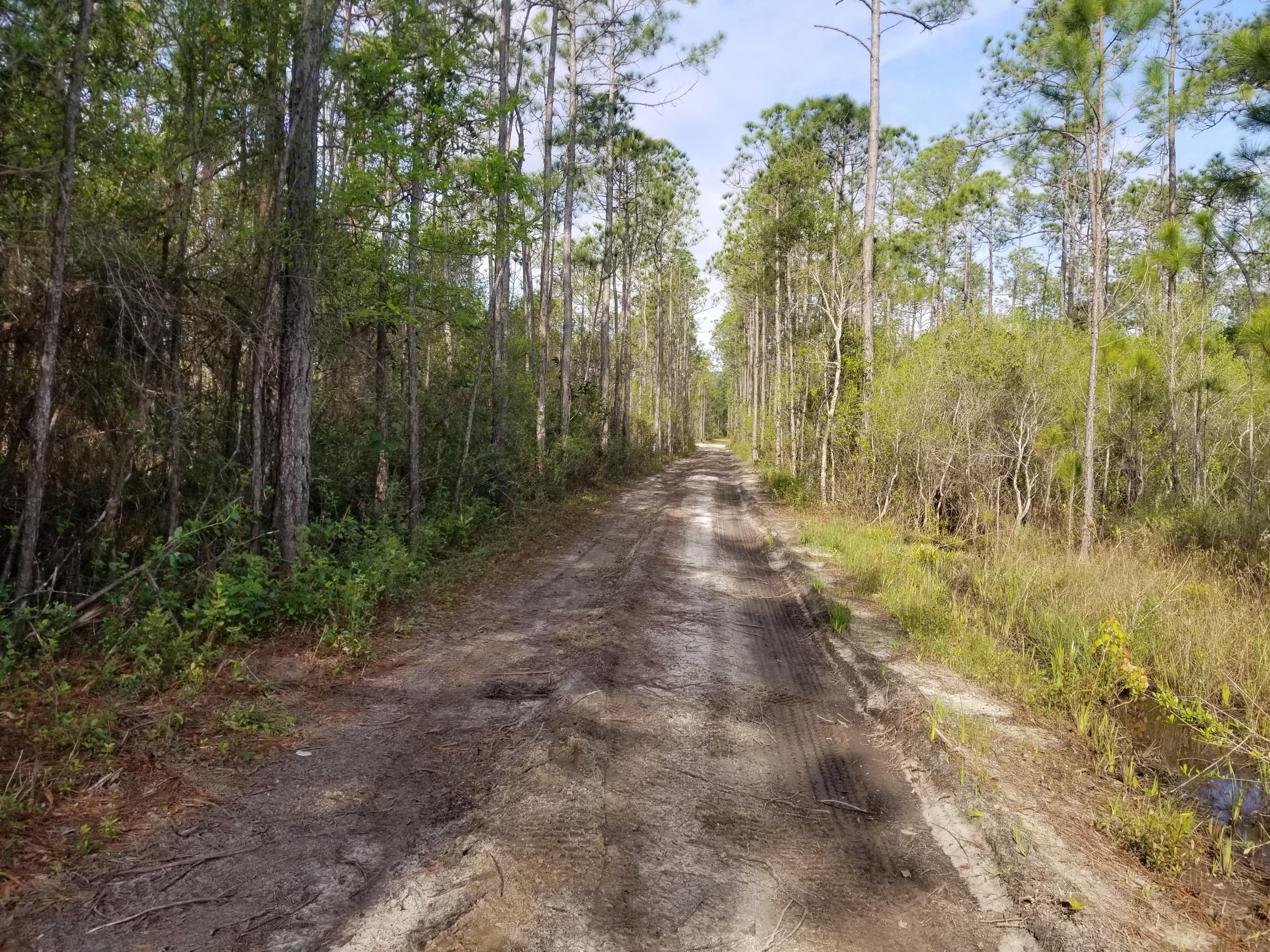 FOXMIRE FARMS UNREC - Land