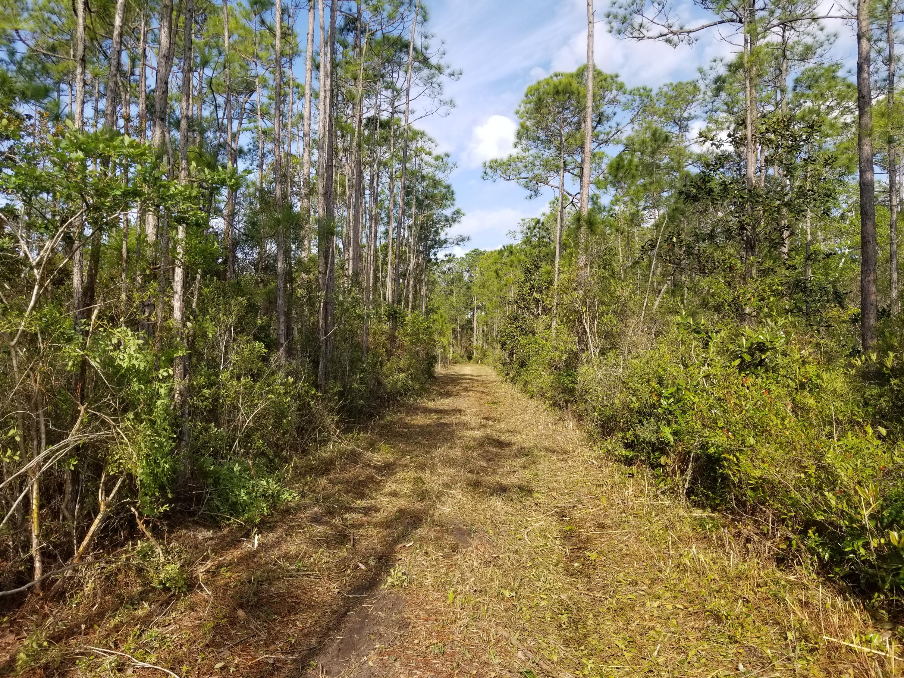 FOXMIRE FARMS UNREC - Land