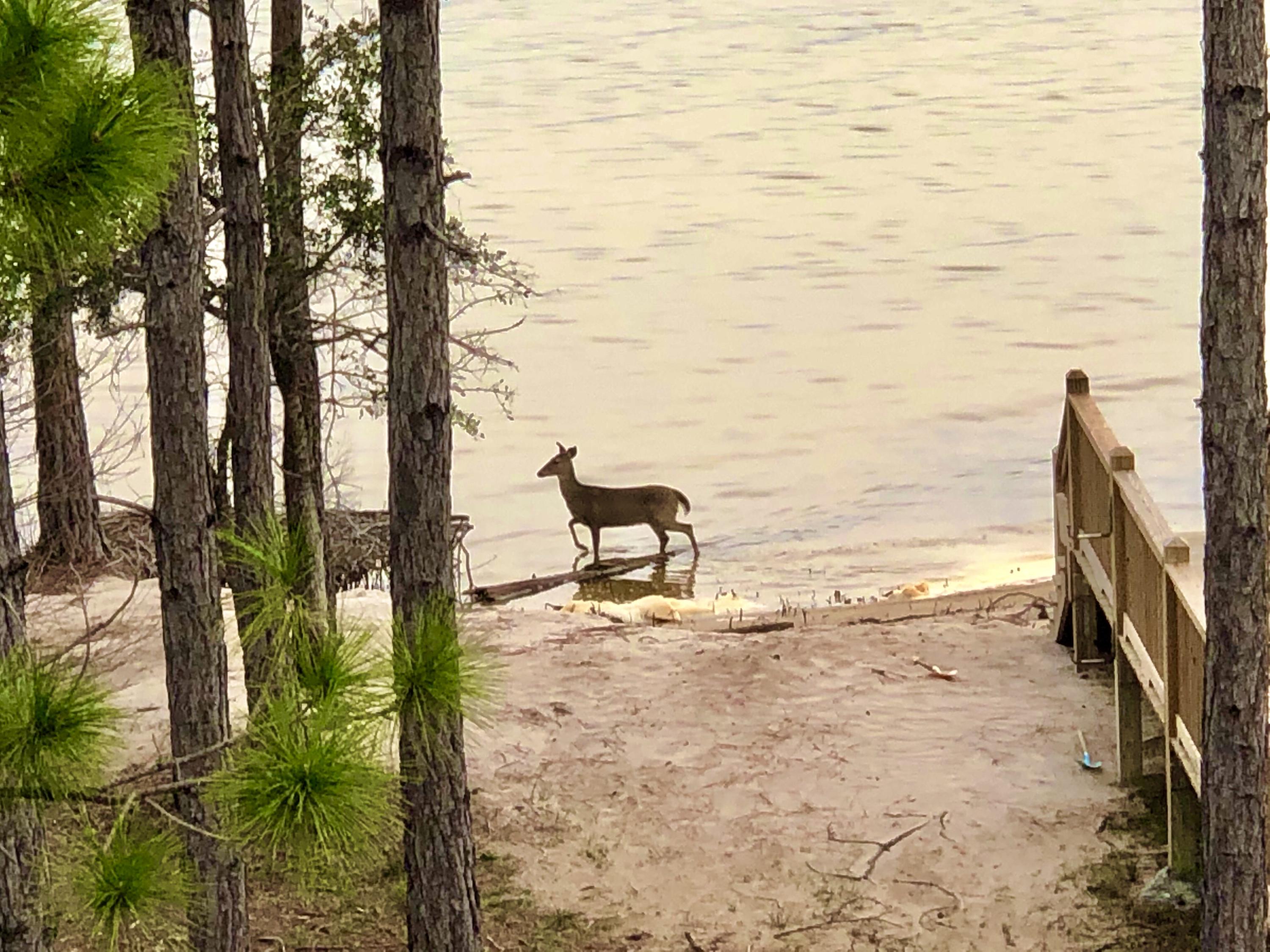 EAGLE BAY - Residential