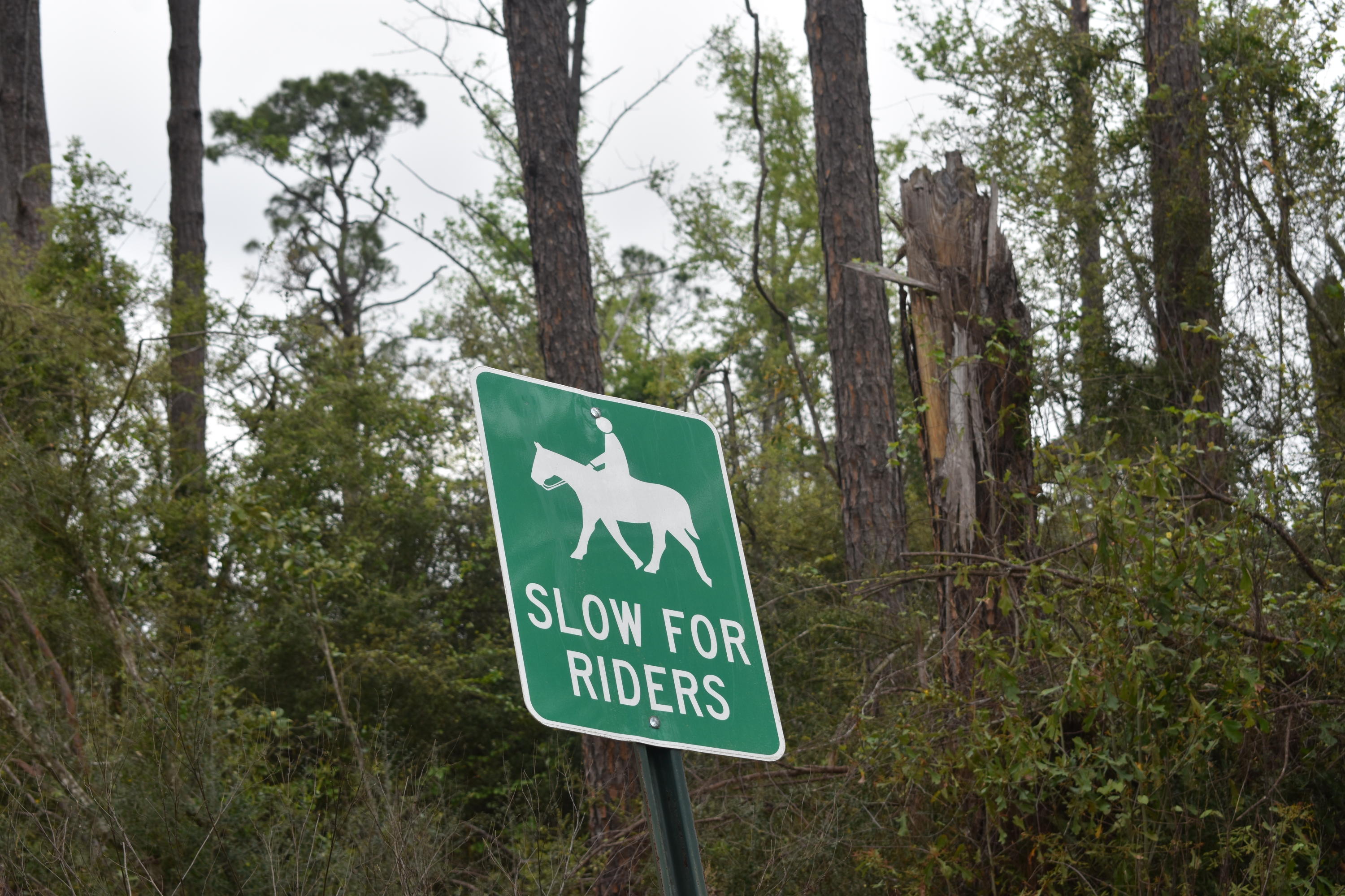 Compass Lake in the Hills - Land