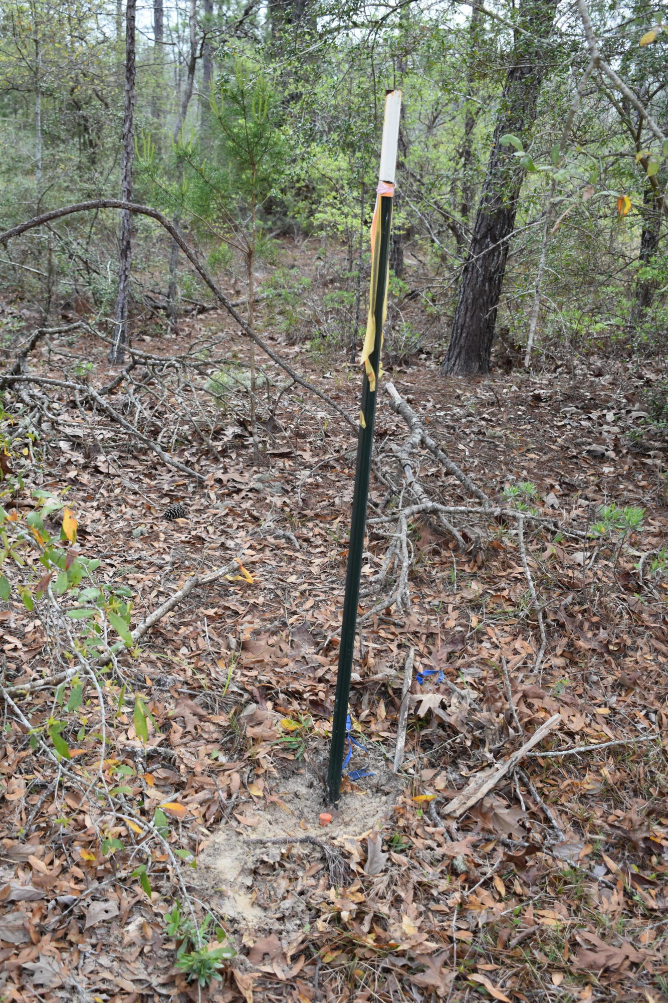 Compass Lake in the Hills - Land