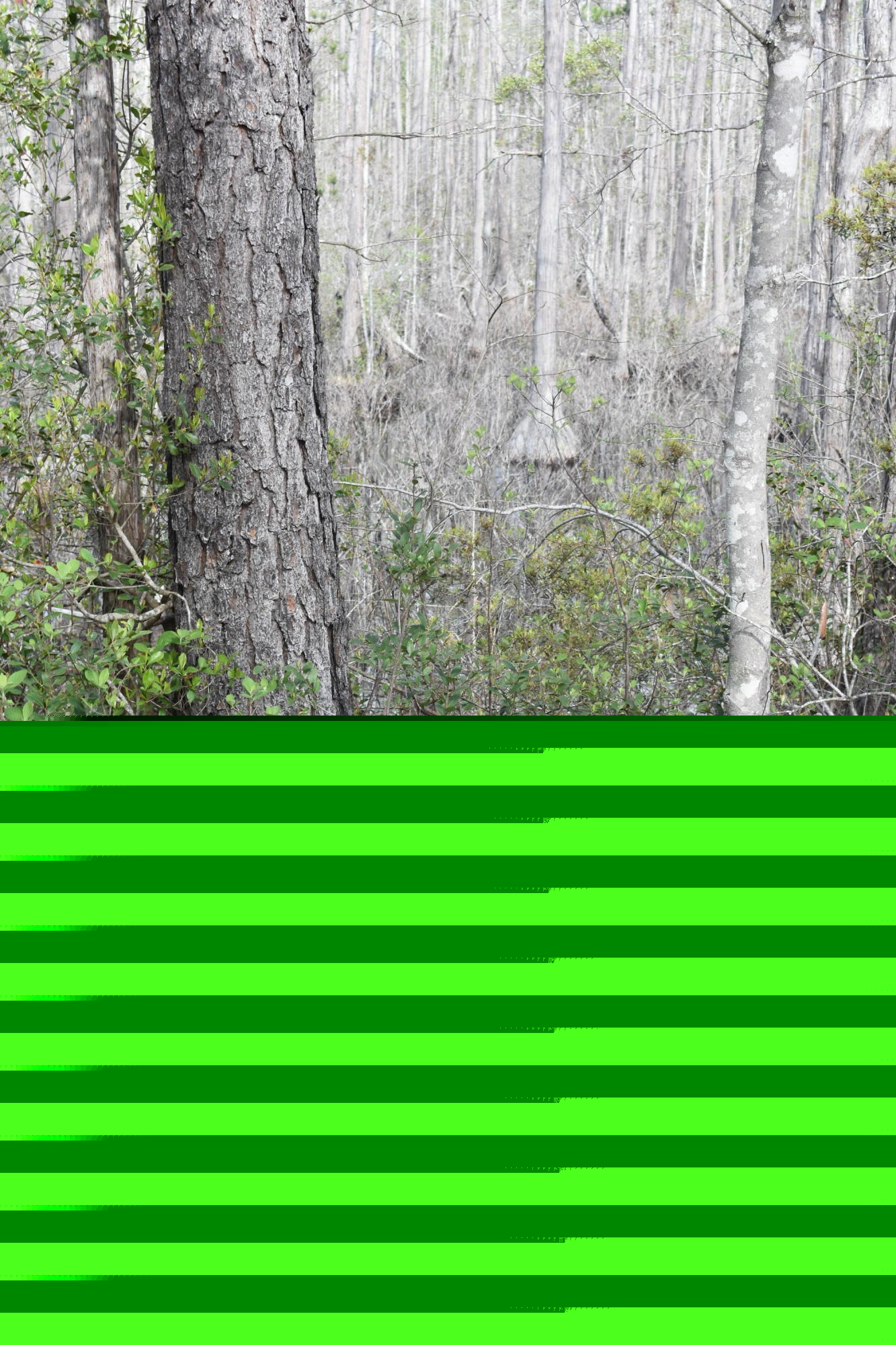 Compass Lake in the Hills - Land