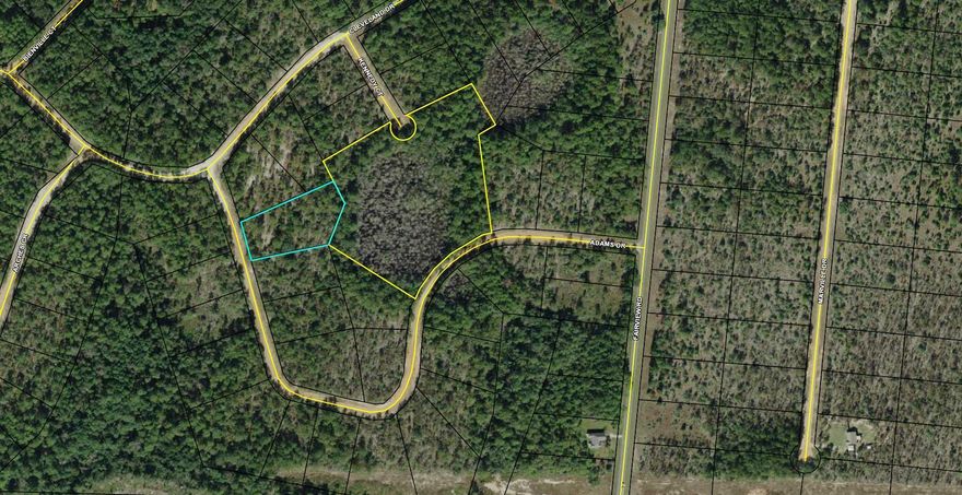 $15 000 buys BOTH parcels totaling over 8 acres as a package deal! Attached surveys show Tract ''A'' Unit 4A to be 7.1 Acres and Lot 11 Block 96 (which adjoins Unit 4A at the back) to be 1.64 Acres. Both parcels have frontage on Adams Drive. In addition Kennedy Court terminates in a cul-de-sac in the middle of the NW property line of 4A (see aerial images and surveys in photos).Note that GIS Flood Map layer shows most of Tract ''A'' to be in a flood zone. That tract also contains a sizable wet cypress tree grove.Visit flpan.com/office-listings for more details about this listing and compasslake.org for additional info about Compass Lake in the Hills.
