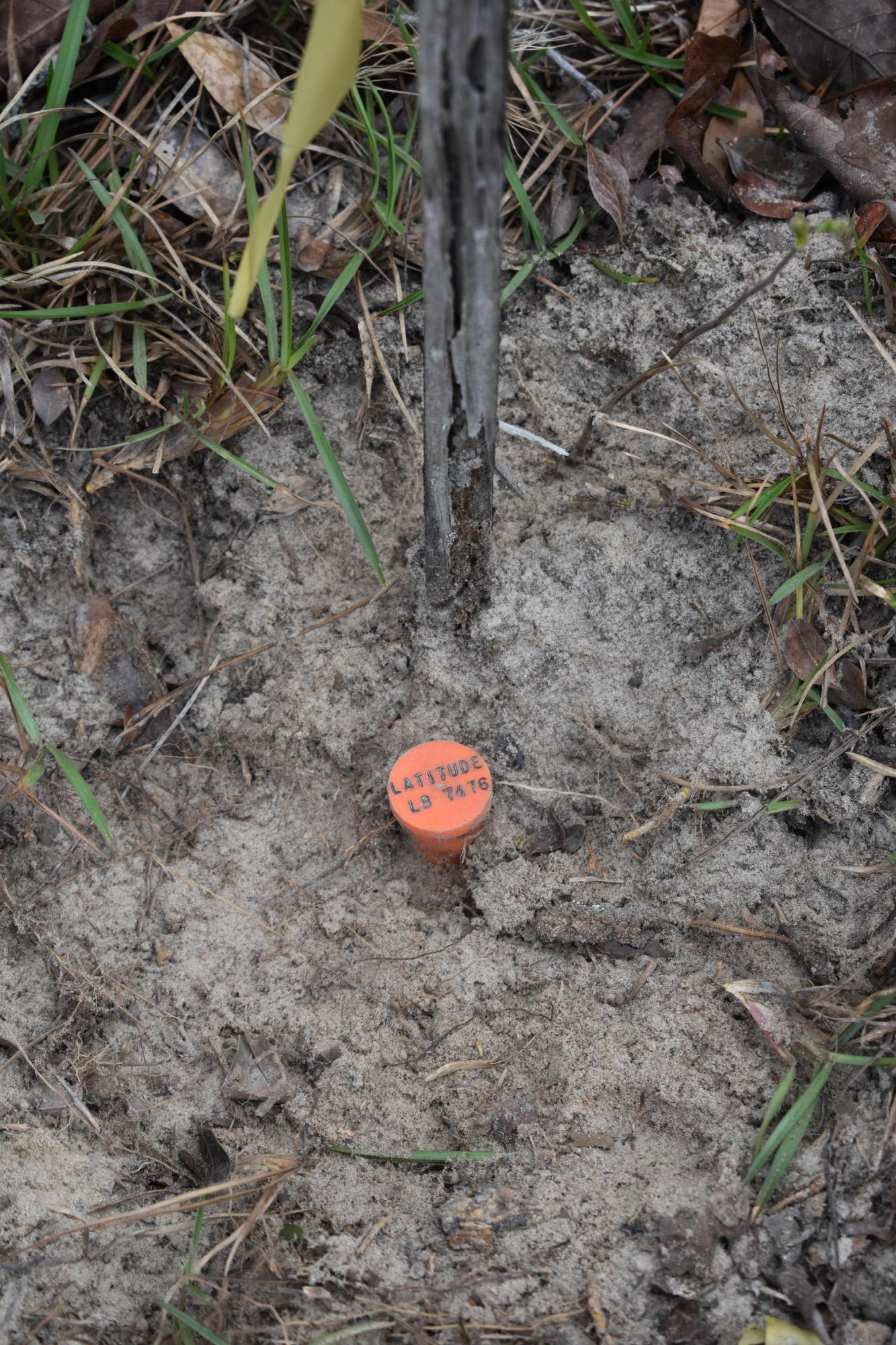 Compass Lake in the Hills - Land