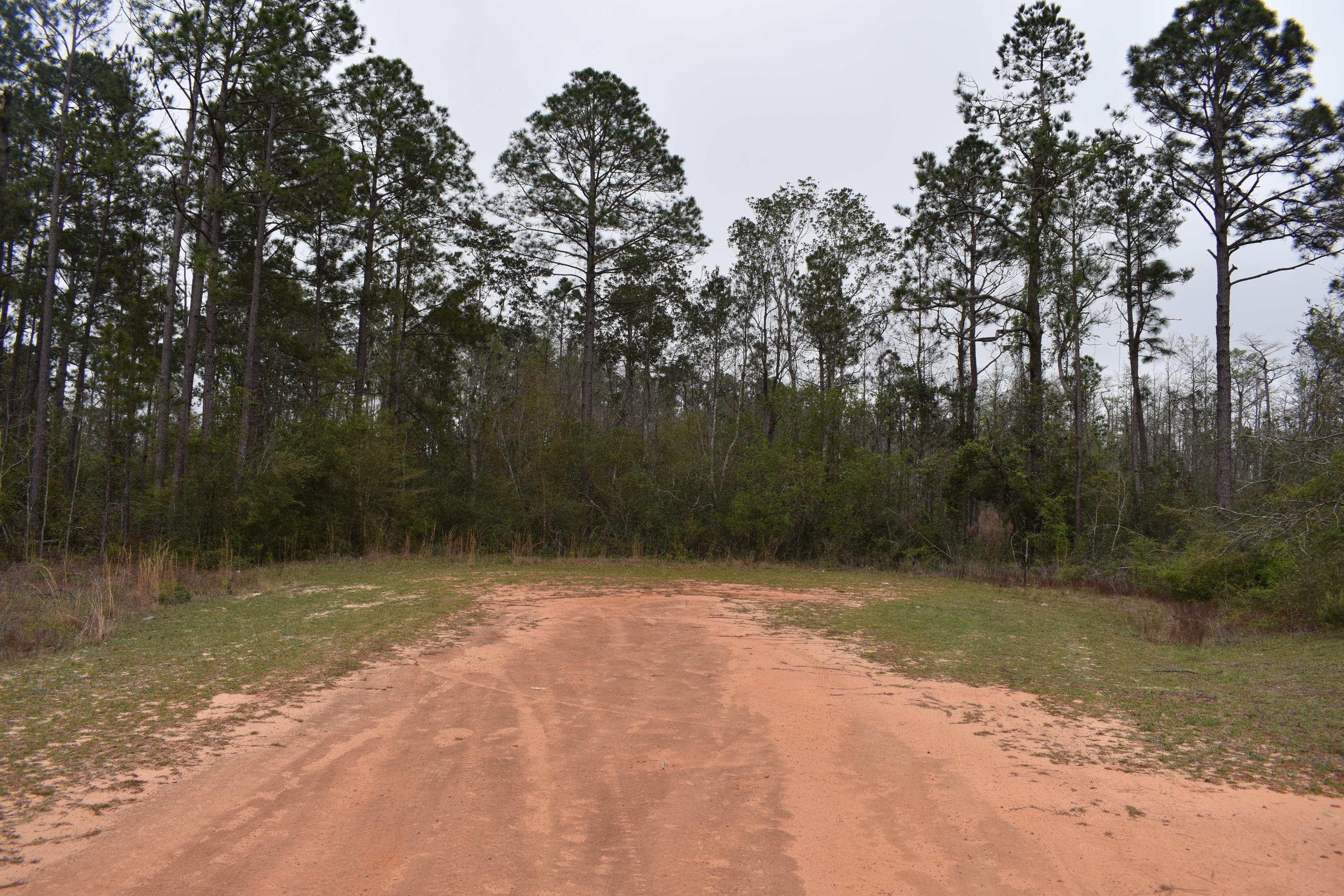 Compass Lake in the Hills - Land