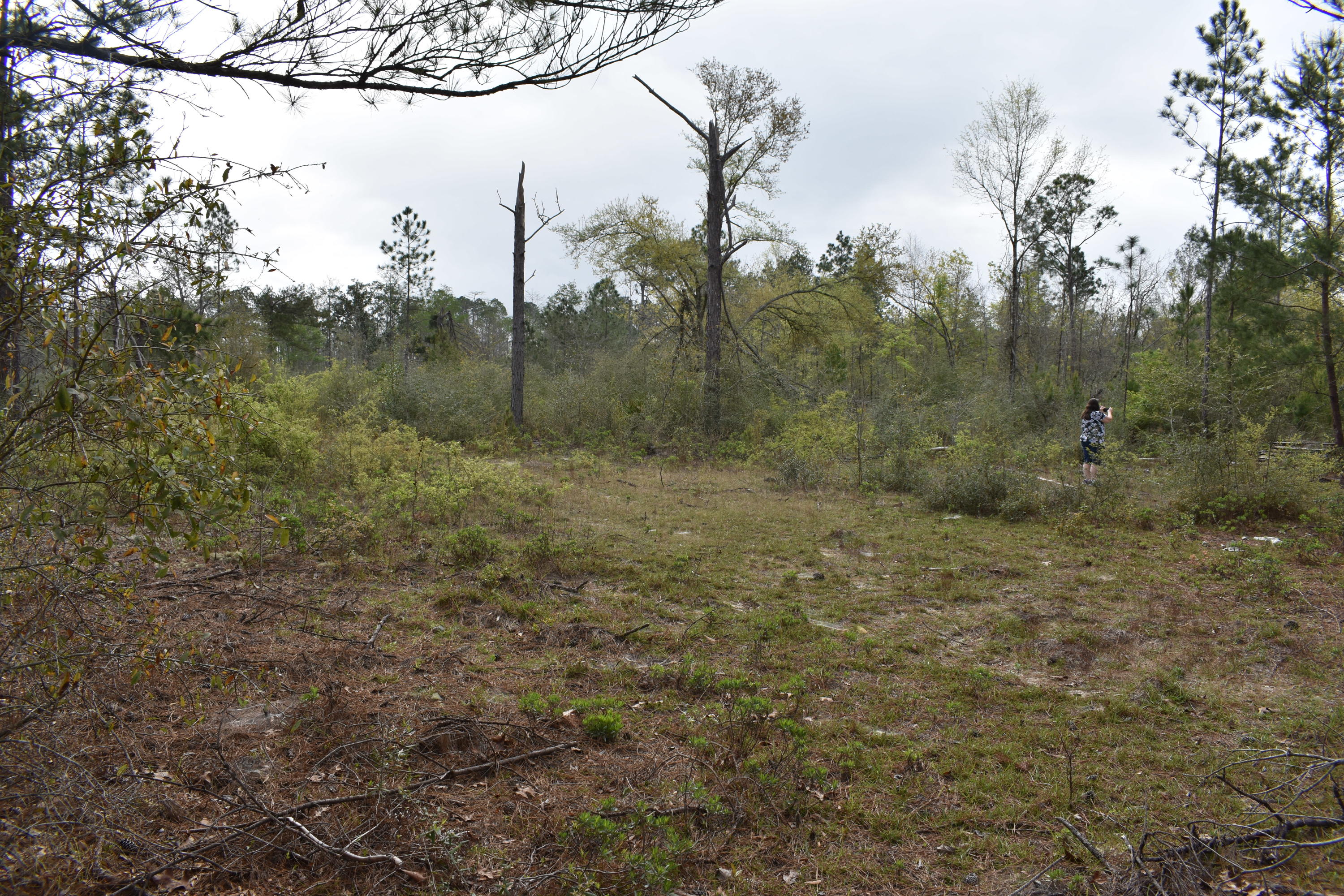 Compass Lake in the Hills - Land