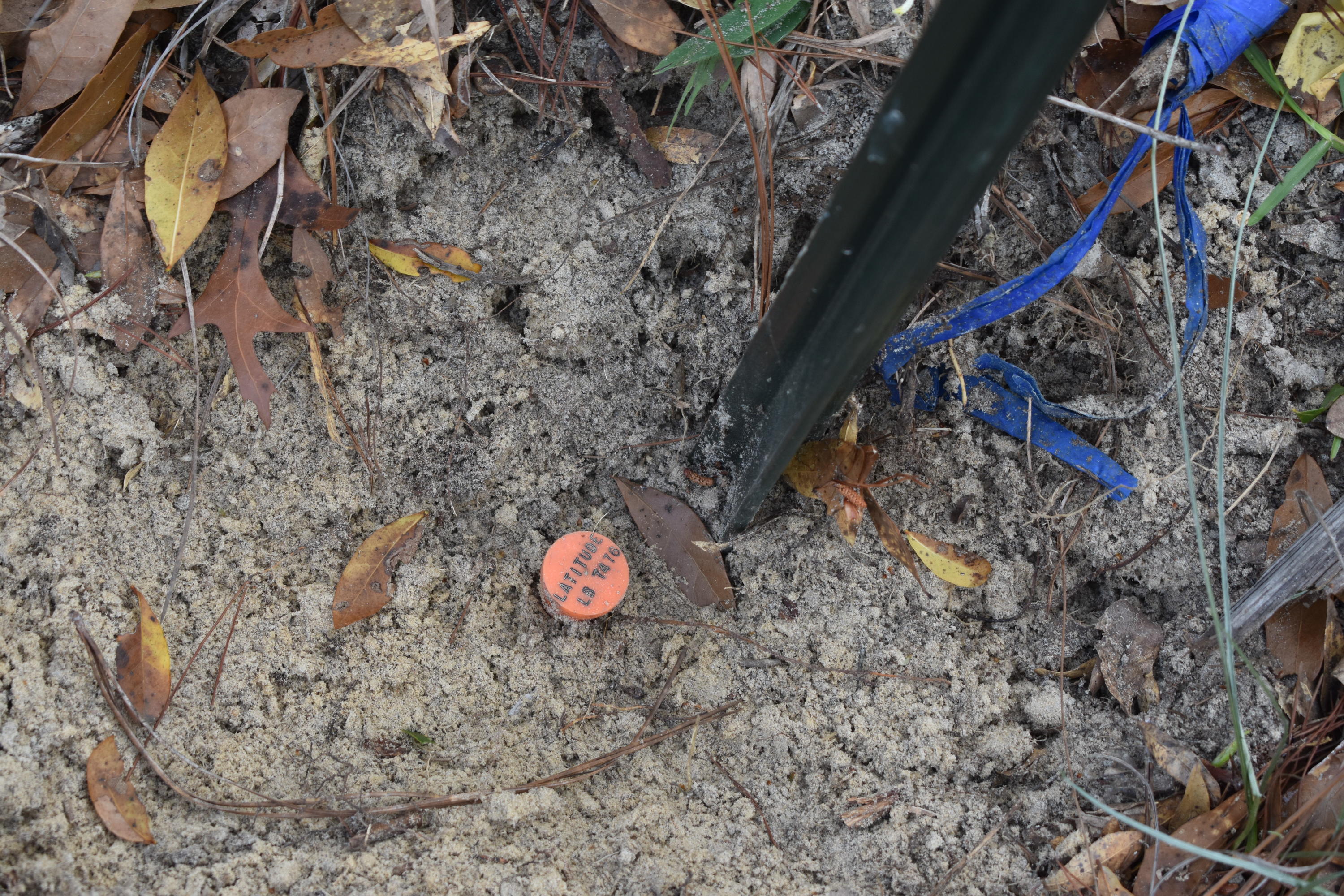 Compass Lake in the Hills - Land