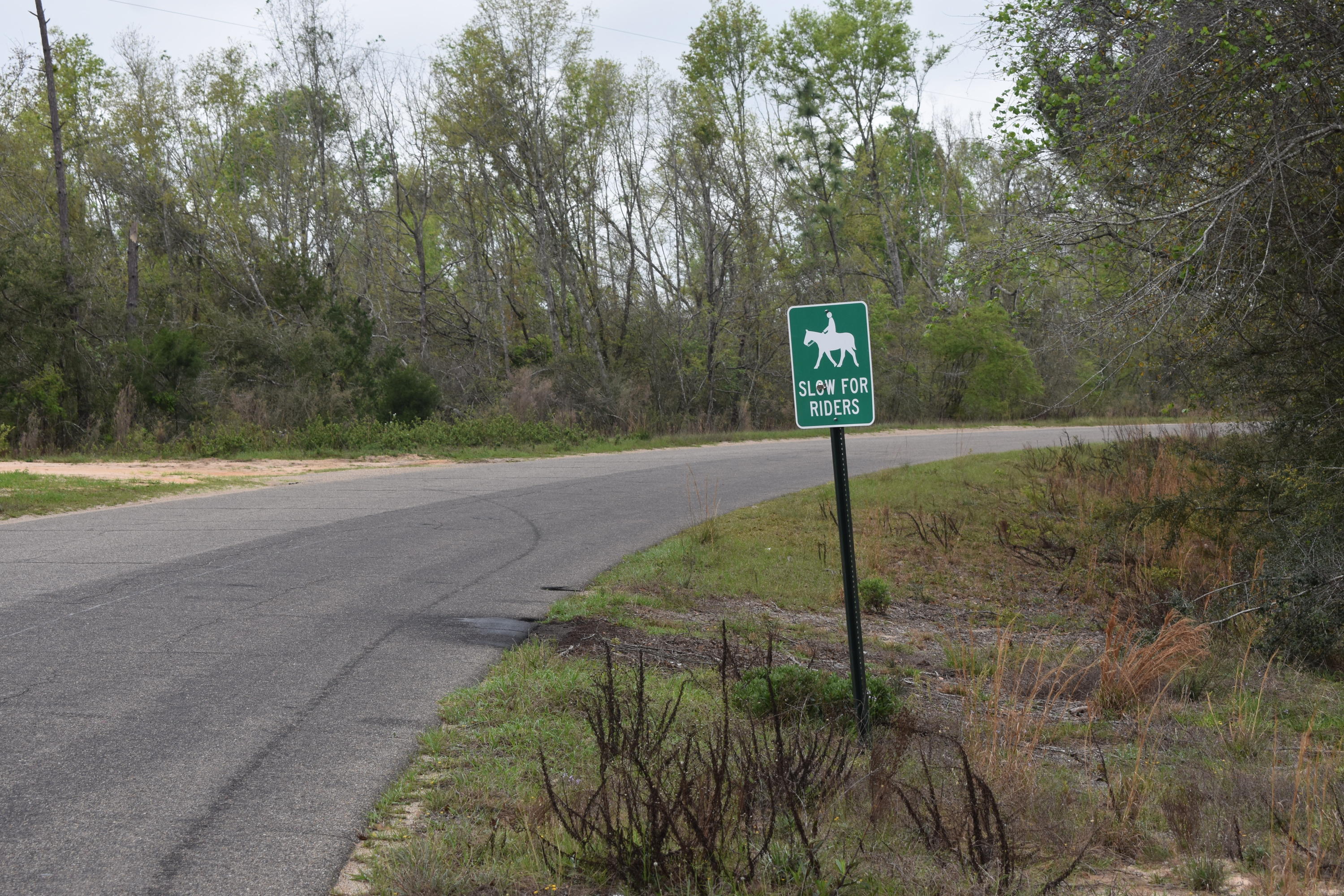 Compass Lake in the Hills - Land