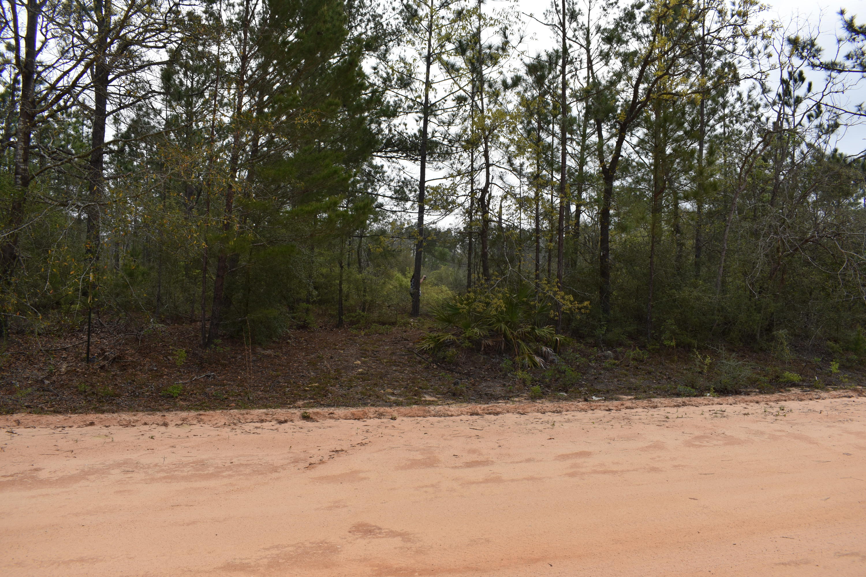 Compass Lake in the Hills - Land