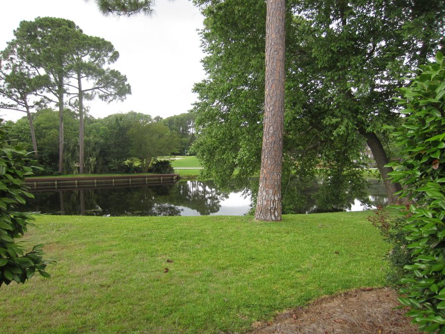 Sandestin's ''best kept secret'' neighborhood! Golfview is one of the most desirable and sought-after rental restricted community. This one level home boasts an open, bright, flowing floor plan with large foyer, L-shaped living/dining room, great/family with fireplace, large master that opens up to a 650+sf outdoor patio space that overlooks pond and Links Golf Course and much more. HOA fees are only $300 per year. SOA fees are $361 quarter. This home must be seen to be truly appreciated!!! Buyer to verify all fees and dimensions.