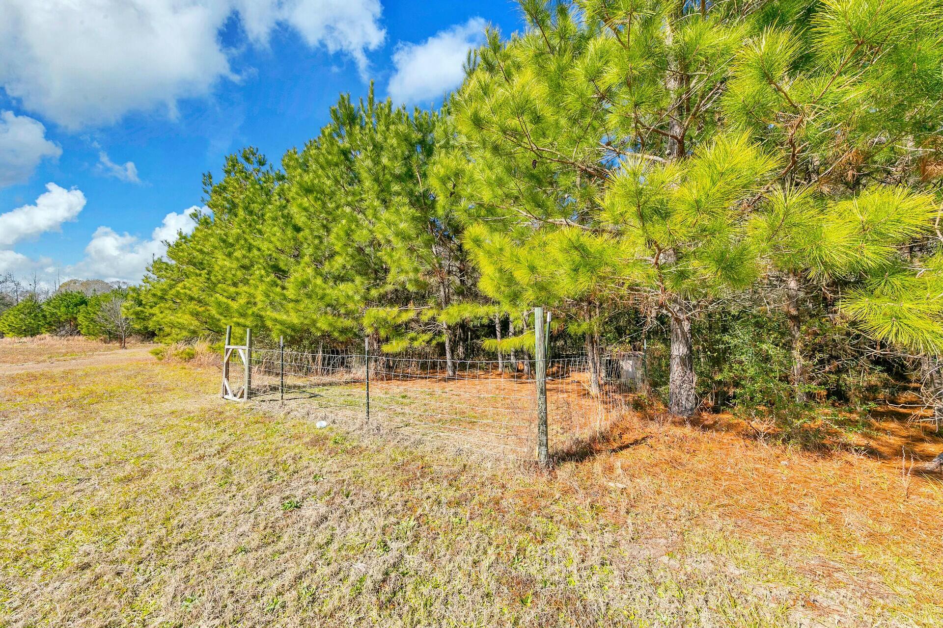 Timber and Pasture - Residential