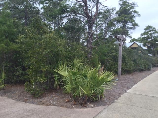 DRAPER LAKE COASTAL VILLAGE - Land