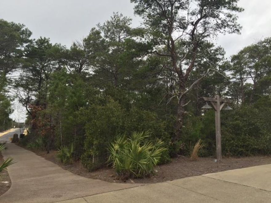 Outstanding Lot located on the Western Peninsula...one of the largest in Draper Lake. Corner lot with easy access to the newly paved Buddy Street. Only a 1/2 mile via golf cart or bike to the Gulfview Heights beach access via Buddy Street or for the ''adventurous''....paddle or kayak across Draper Lake to the beach. Close location to Draper amenities; Village Greens (2), Watch Tower, Pools (2), Parks, Bridge & Boat Houses (2). Build your dream house in Draper Lake......enjoy your privacy and lake views in a premier 30A community! For more info. & a gallery of pictures visit www.draperlake.com Text 850.582.7898 for gate code.