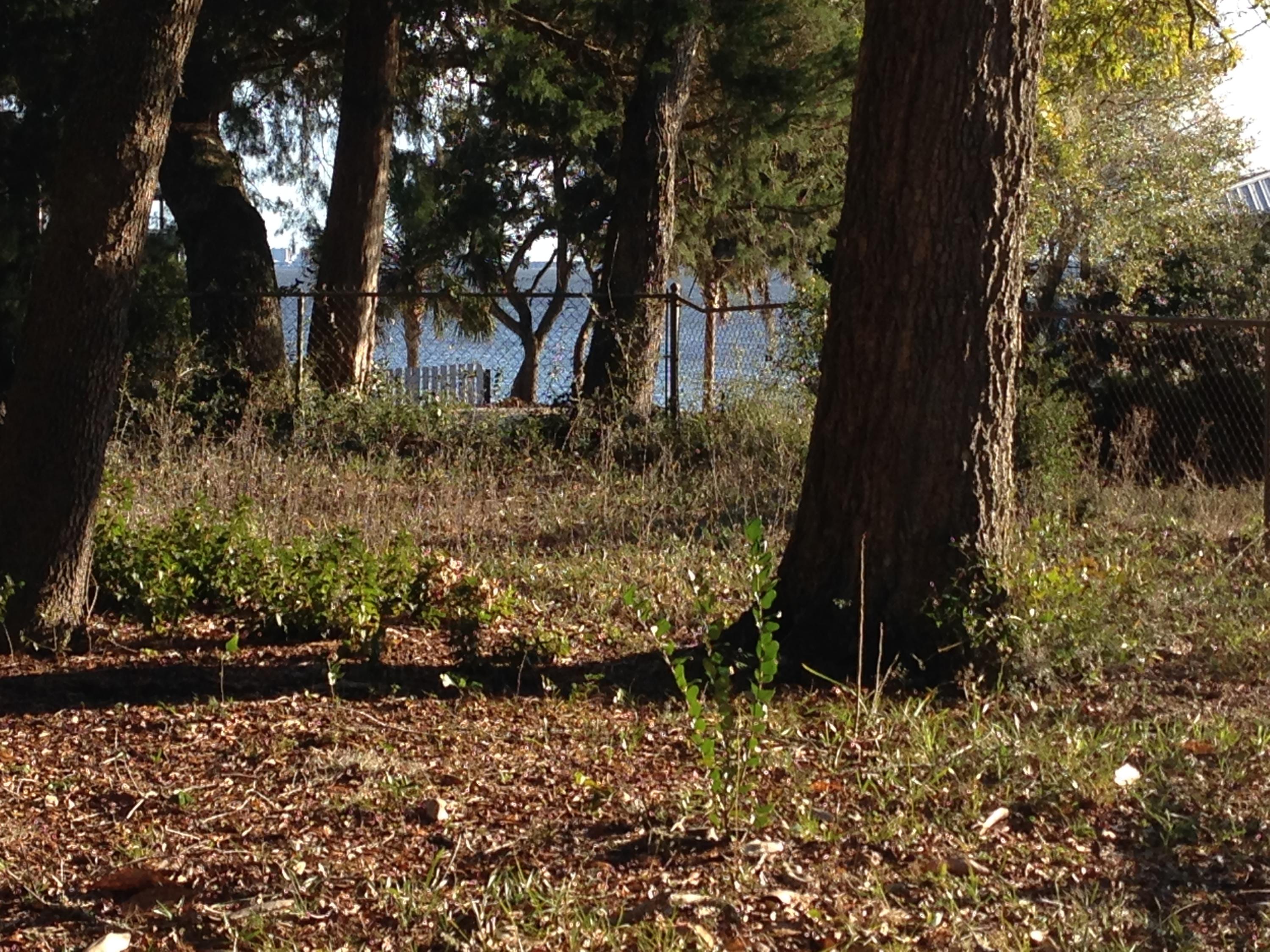 CHOCTAW BEACH - Residential