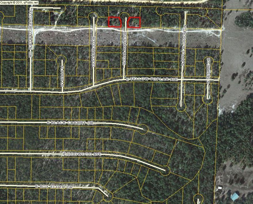 Lot is not clearly marked. Dirt road to property. There are 2 lots under the parcel ID and each lot is sold individually for $2500 each. Can buy both lots for $5000.