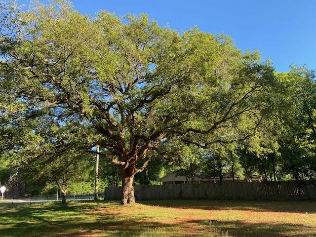 PORTER REPLAT OF 1ST ADDN - Residential