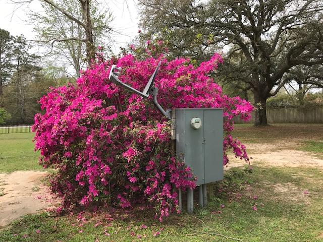 PORTER REPLAT OF 1ST ADDN - Residential