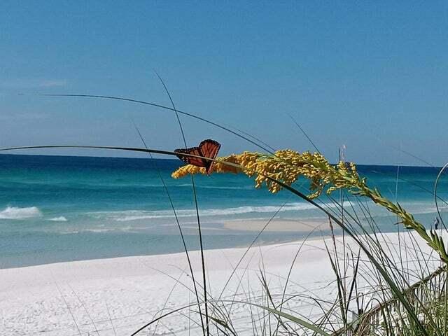 BEACHSIDE CONDO AT SEAGROVE - Residential