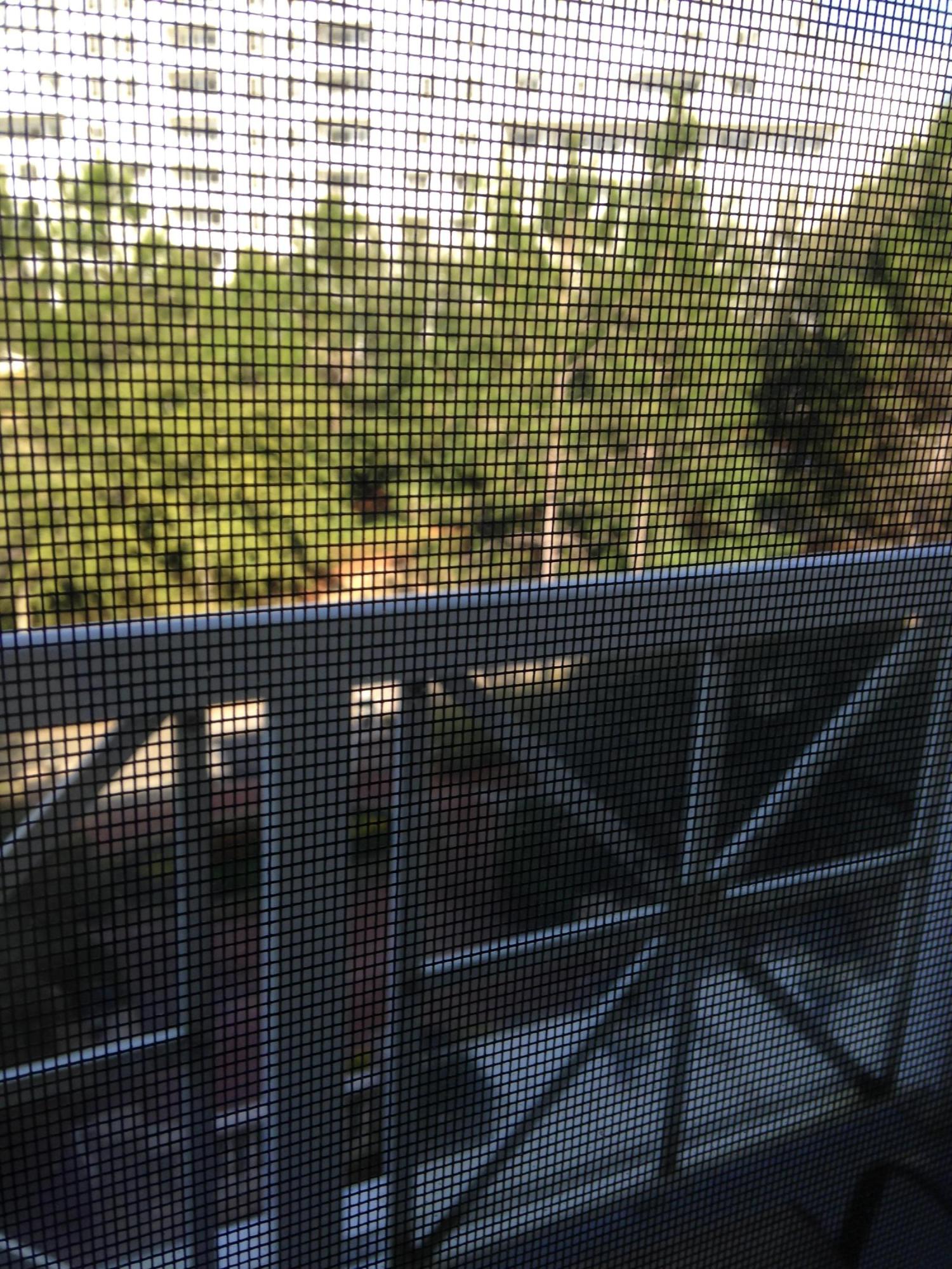 LASATA - Residential