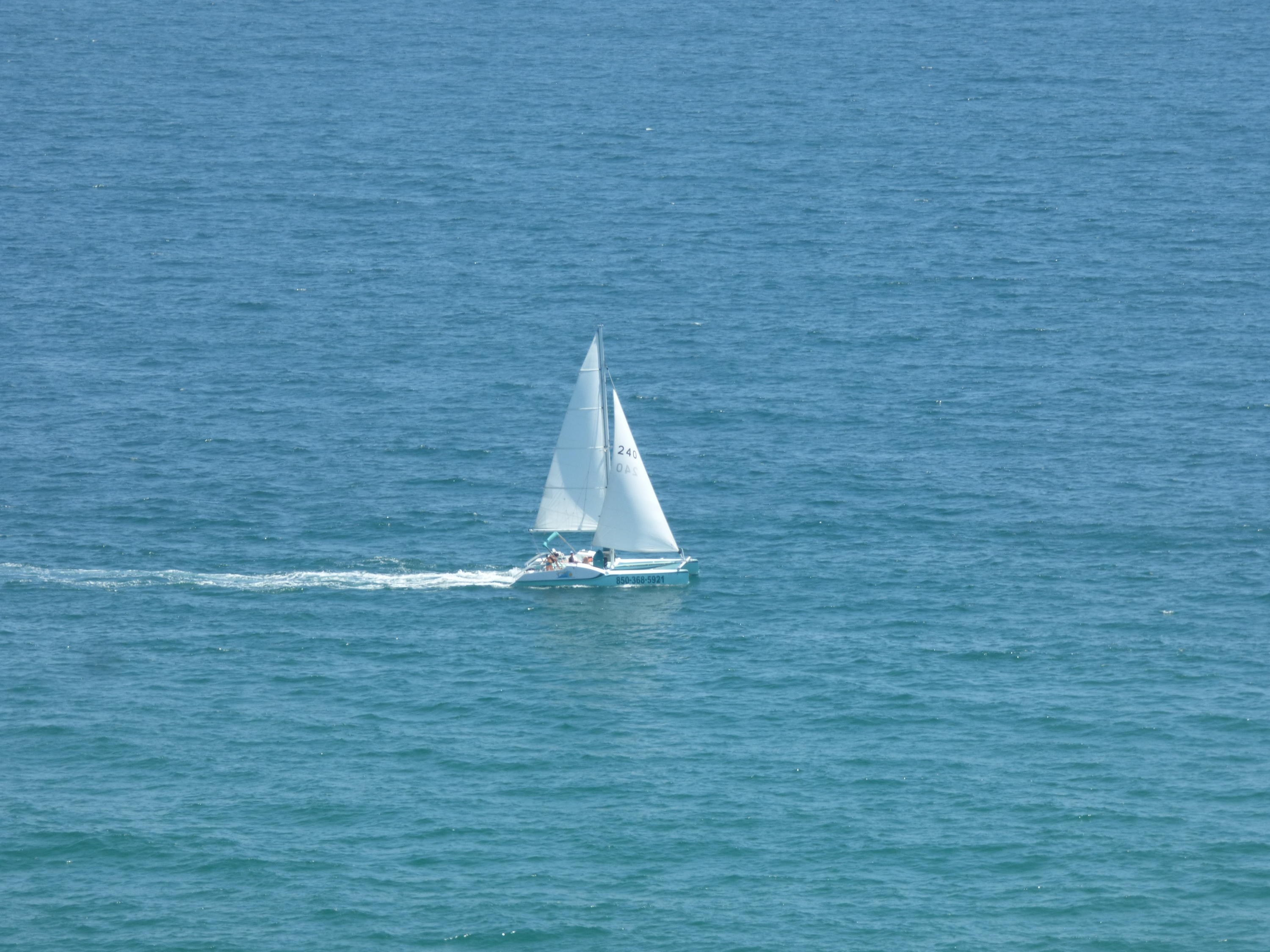 PELICAN BEACH RESORT CONDO - Residential