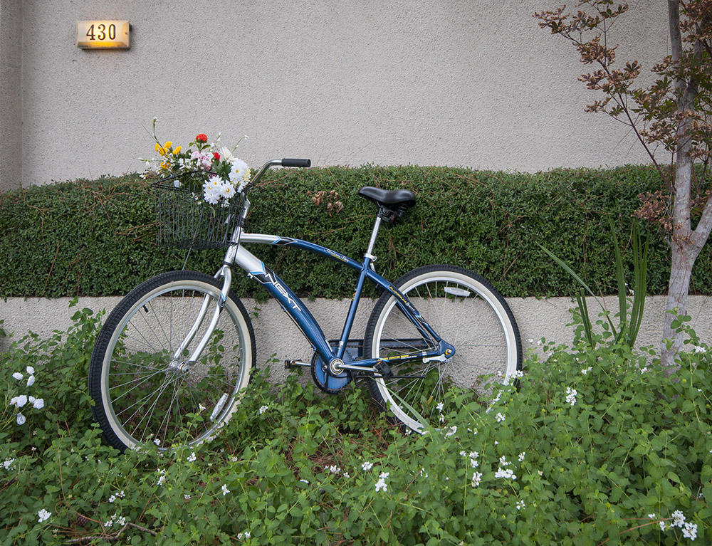 LINKSIDE VILLAGE UNIT 1 - Residential