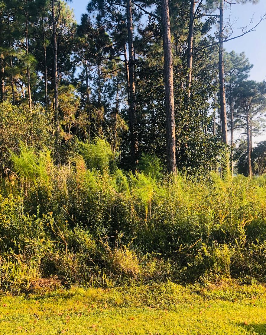 Great opportunity of buying a large lot at CANO ESTATES who features a community of upscale homes surrounding the beautiful lake Alicia. Large custom brick homes upwards of 4,000 square feet occupy treed homesites of one half acre or larger. No HOA fee and no build out time