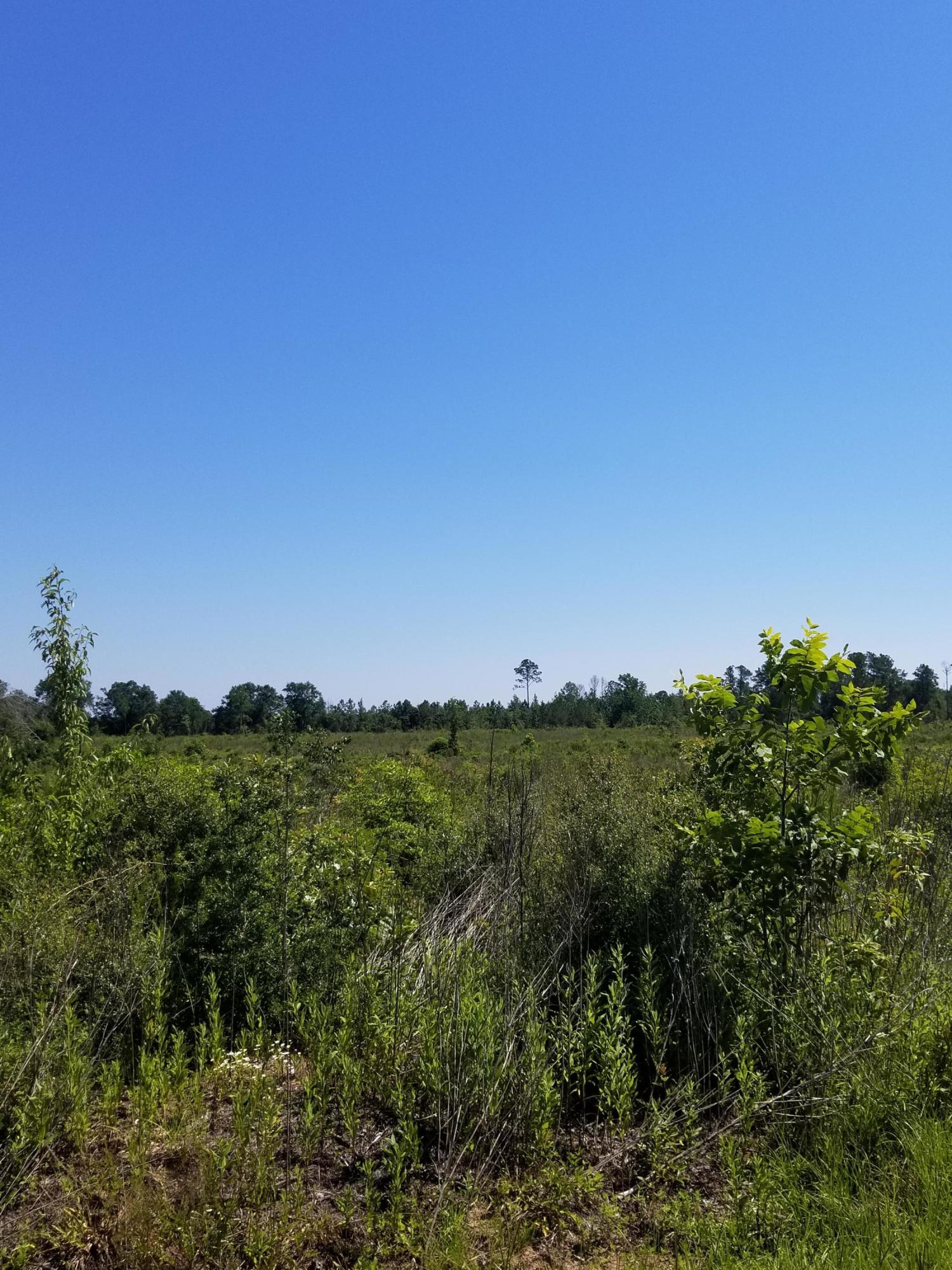 Motivated seller!! This property has paved road frontage on 2 sides and is priced to sell! Located just a short drive to the south of beautiful Lake Jackson, this property has the potiential to be a magnificent parcel. Bring your house plans and dreams for raising everything from a family to livestock! If you have dreamed of building you own farm, Call today!!Phone Lines, Power, and Public Water are available along the properties perimeter.