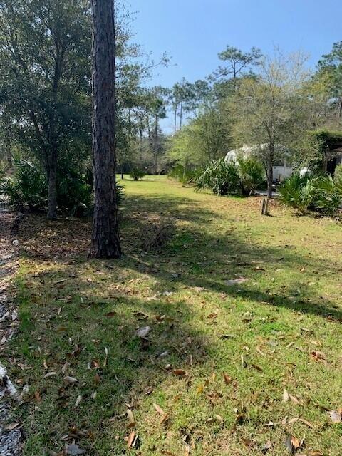 Bayou Preserve - Land