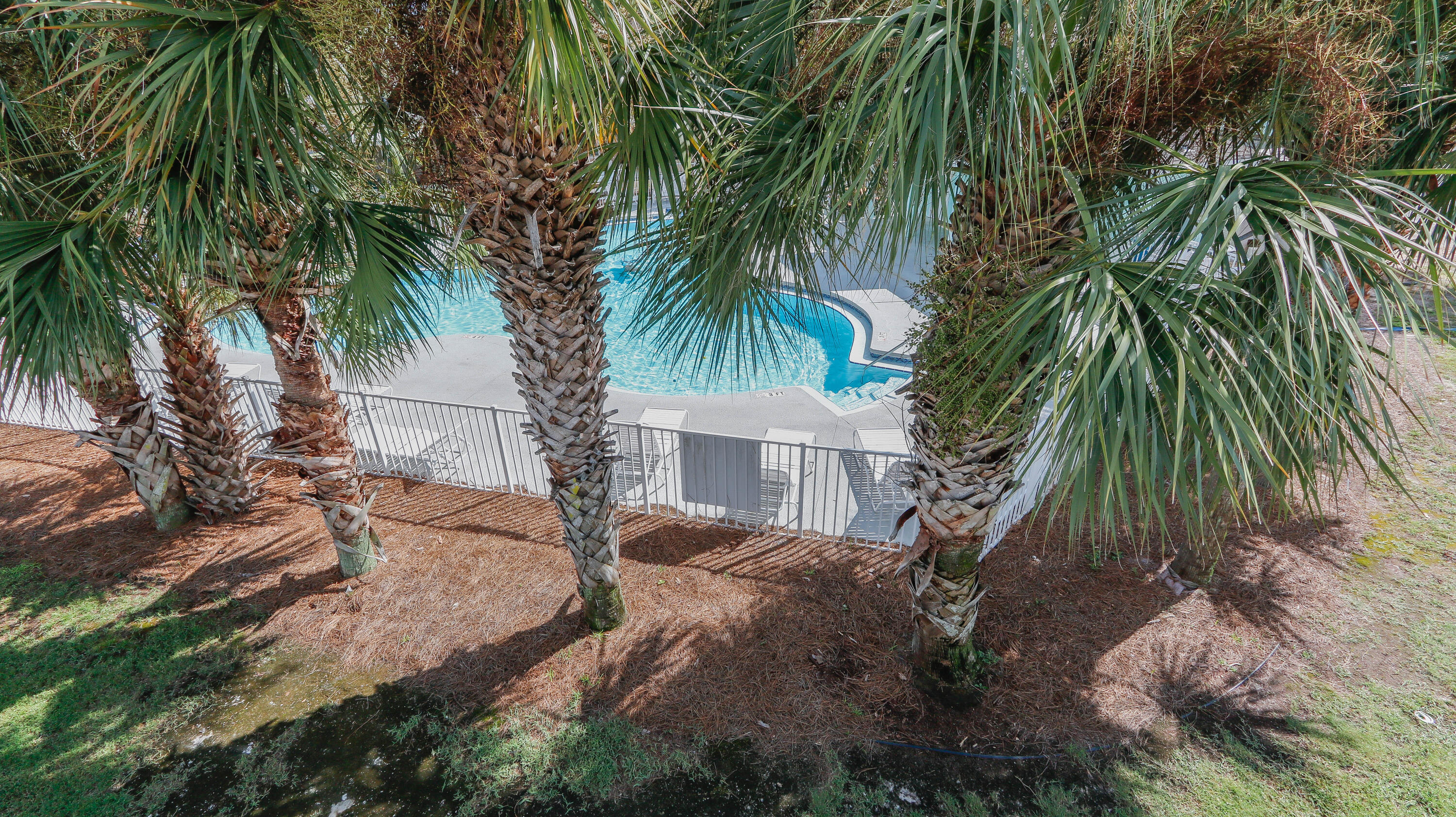 Palm Cove - Residential