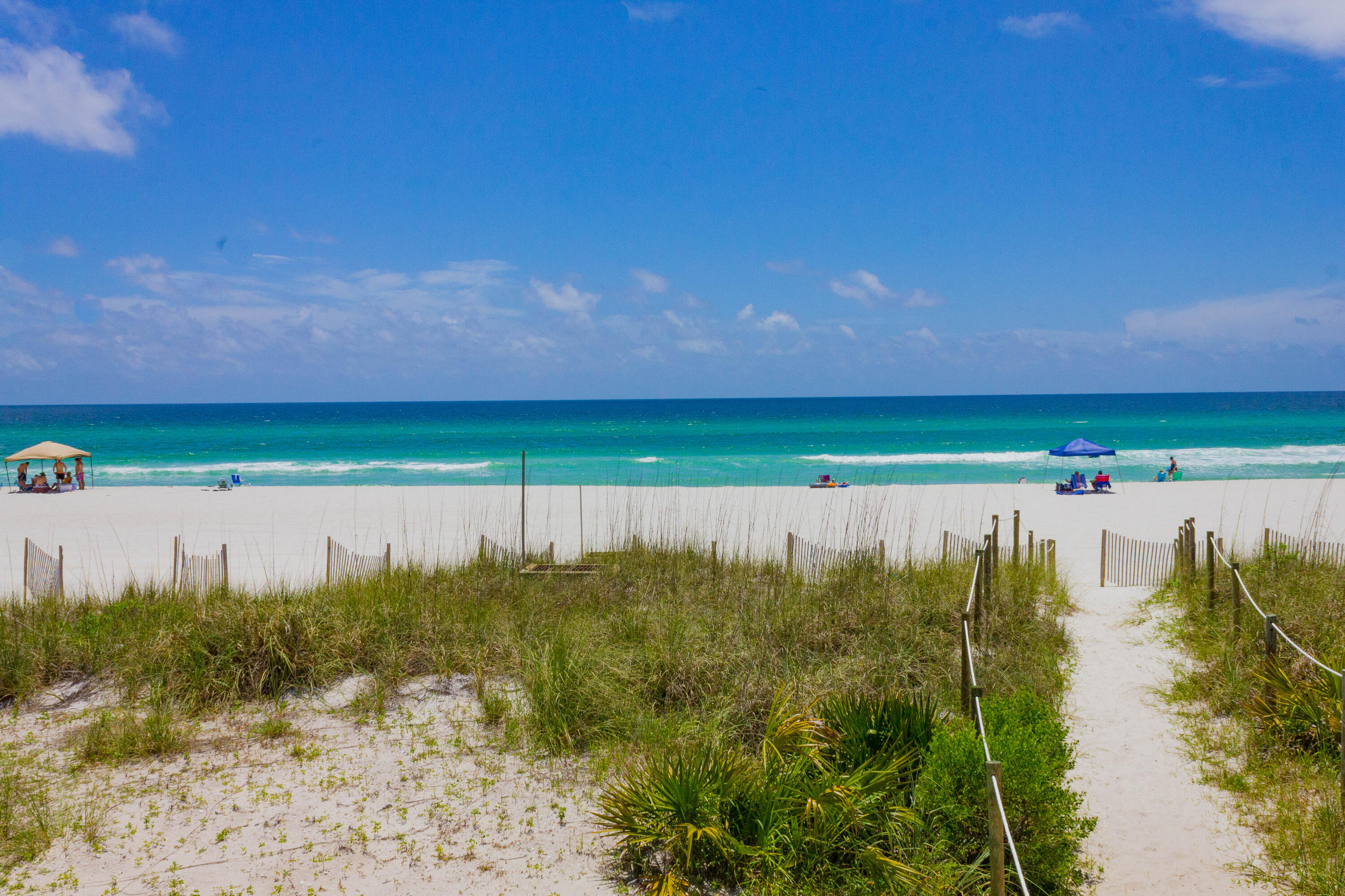 Palm Cove - Residential