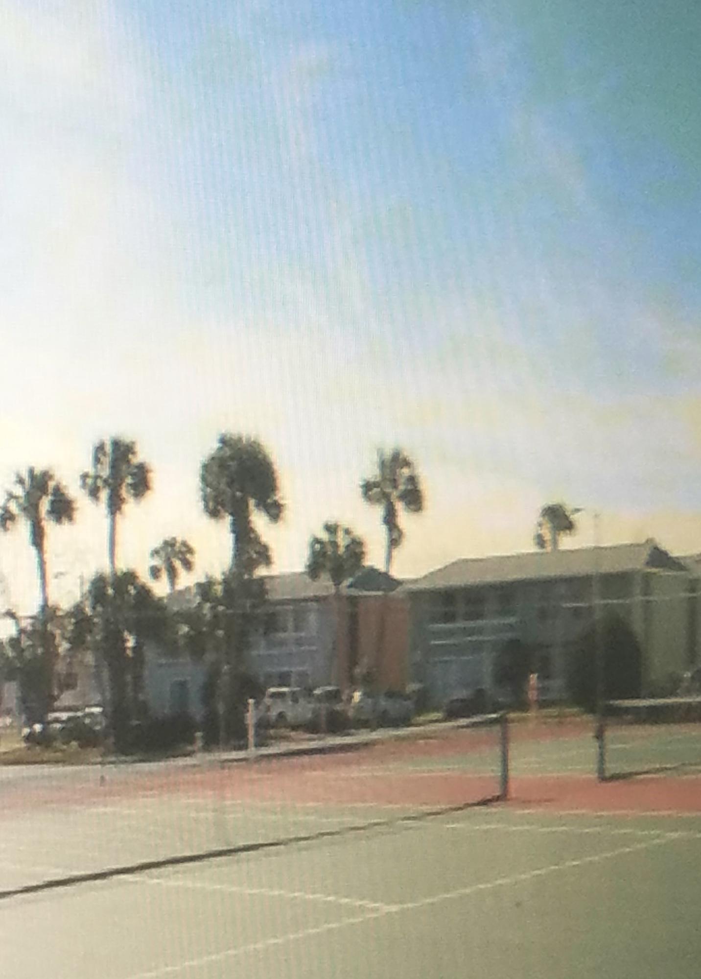 GULF TERRACE CONDO - Residential