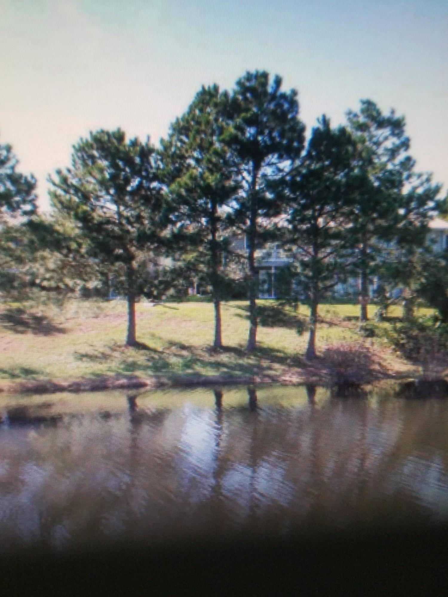 GULF TERRACE CONDO - Residential