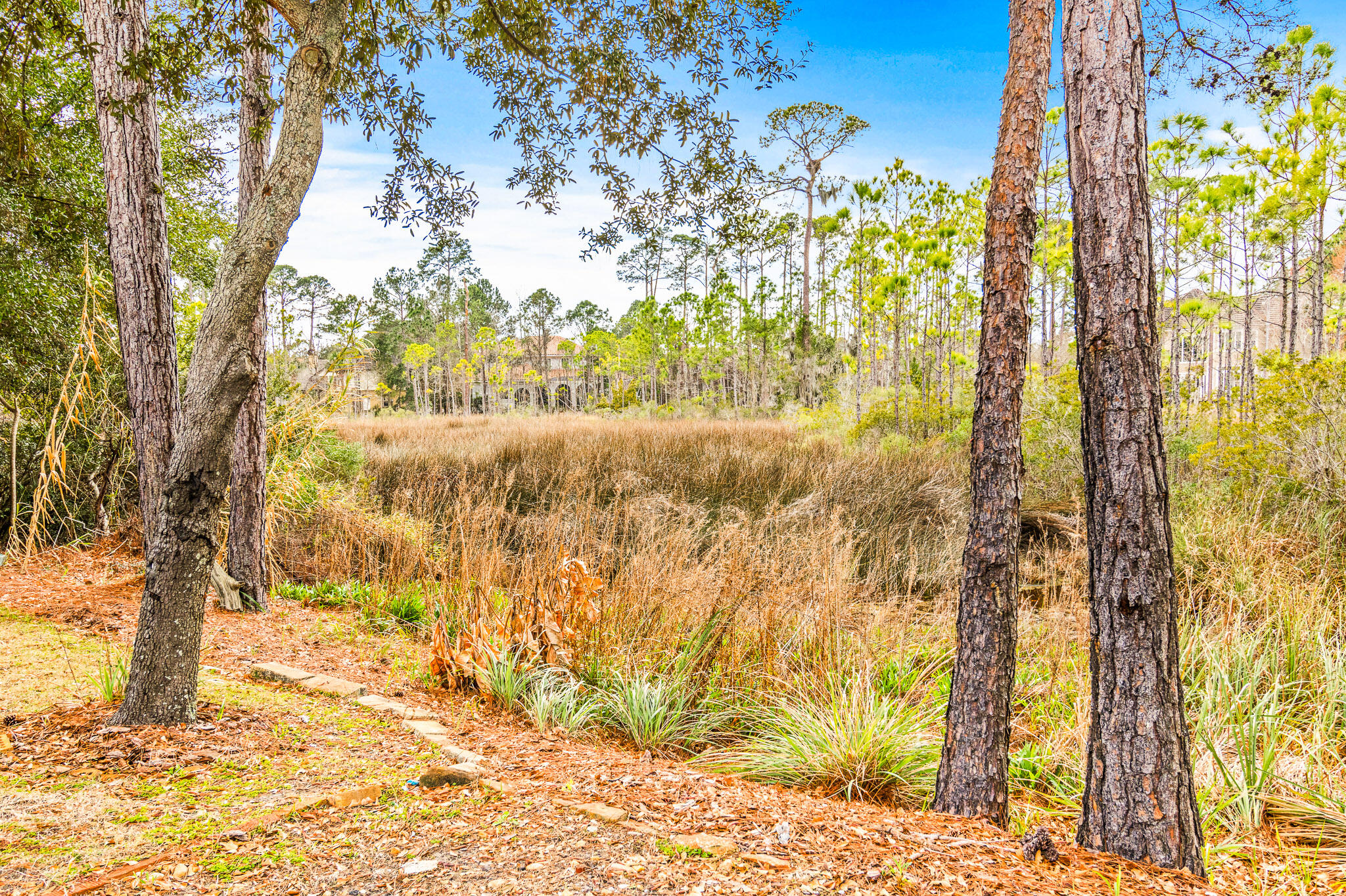 MACK BAYOU POINTE S/D - Residential