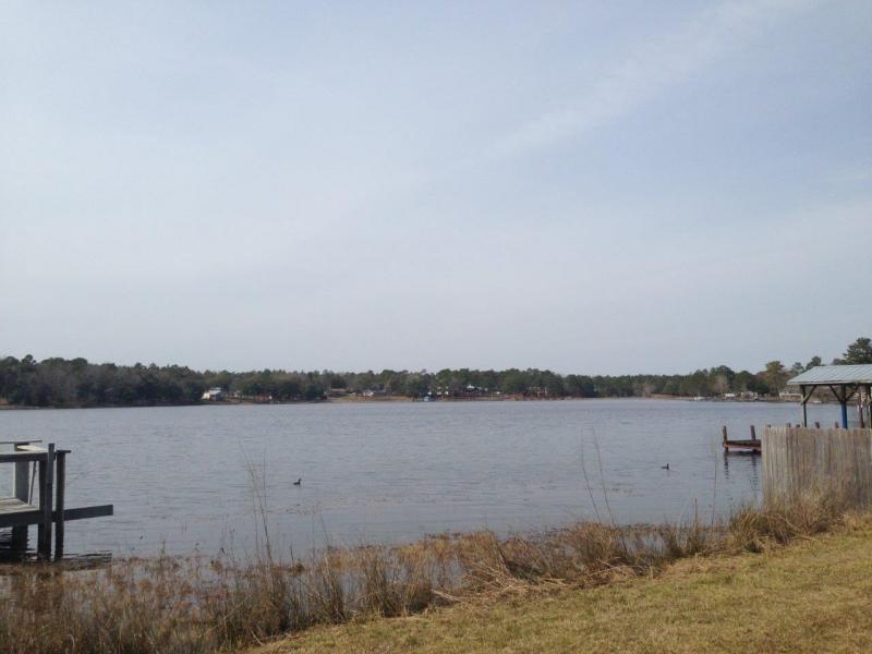 PARADISE ISLAND - Residential