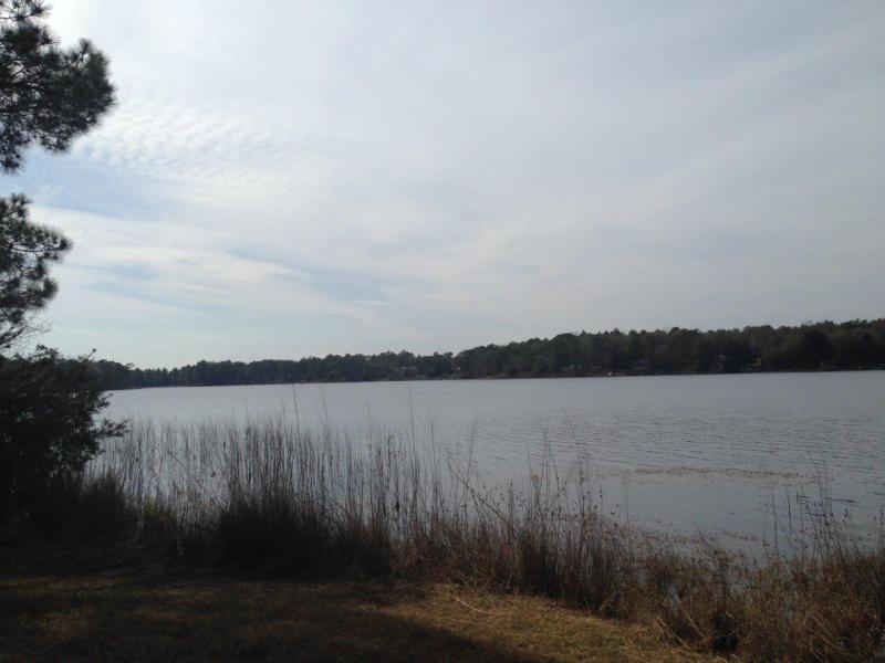 PARADISE ISLAND - Residential