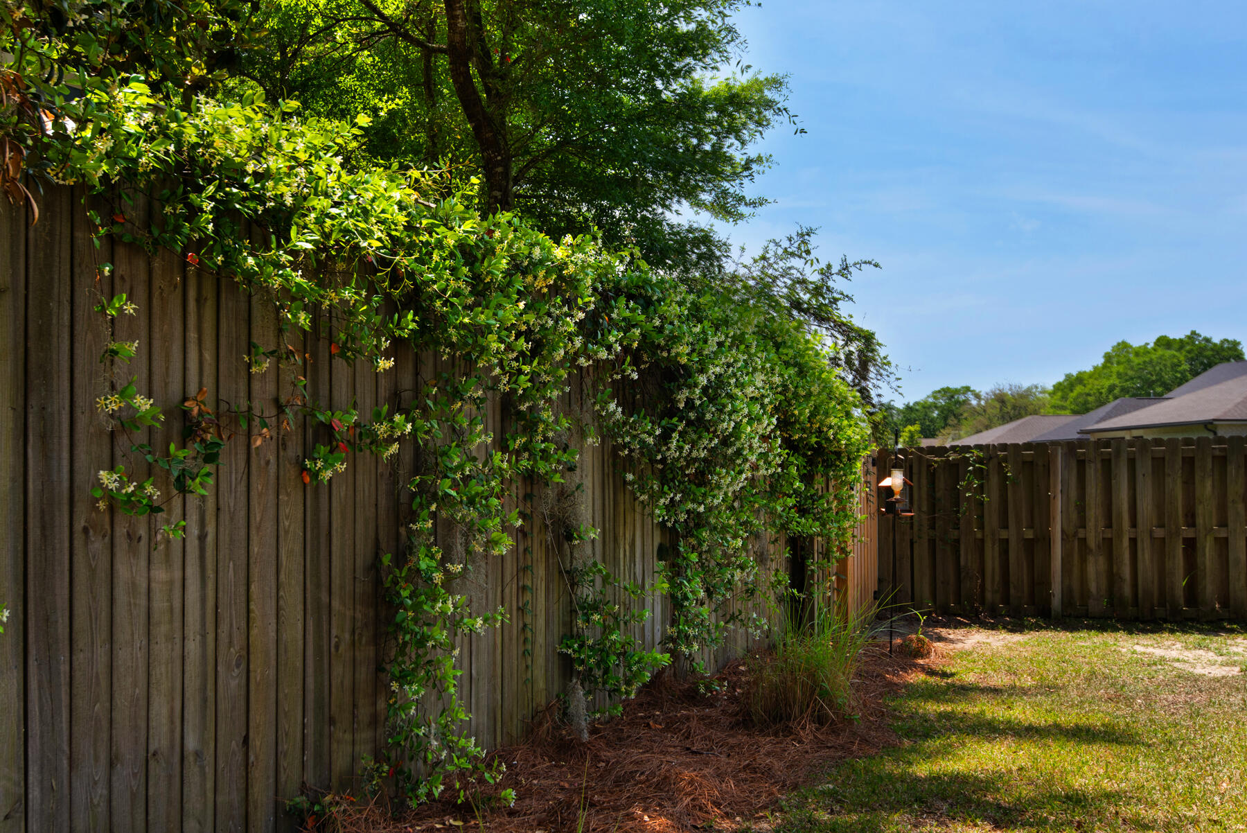 Osprey Ridge - Residential