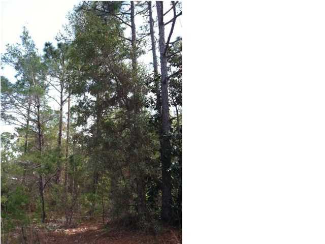 Great location to build your coastal cottage on a 1/4 acre homesite in popular year round neighborhood one block from the Bay. Located just north of Grayton Beach this property has easy access to 30A shops, restaurants, parks, Bay and beach access. No association fees.