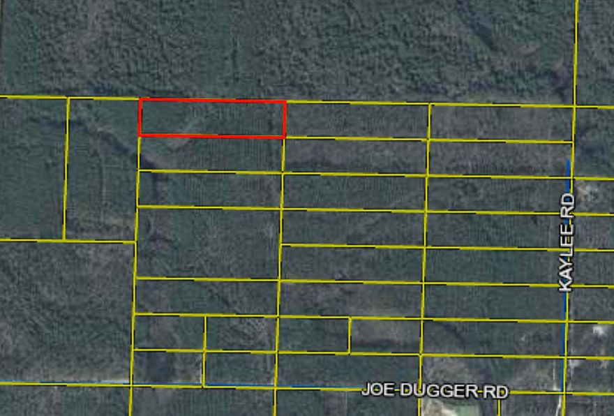 Beautiful 10 acre tract just East of Freeport. This lot is priced to sell! Flood Zone: 81%X and 19%A (see map in photos) Wetlands: Woody Wetland .84 acre (8.2%); Evergreen Forest 9.44 acre (91.8%)You will need to put in a well for water, septic and electricity is in the area. Call today!