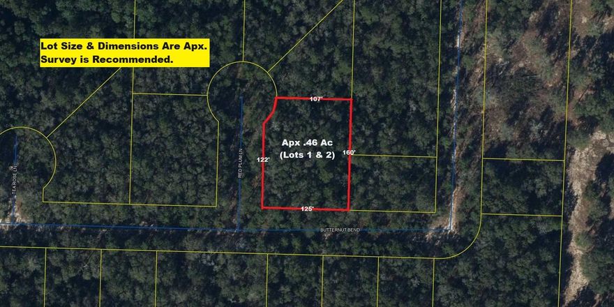 Two lots, totaling apx. 1/2 acre in growing Mossy Head area of Defuniak Springs. CAUTION: Access roads are not county maintained and may be difficult to navigate.