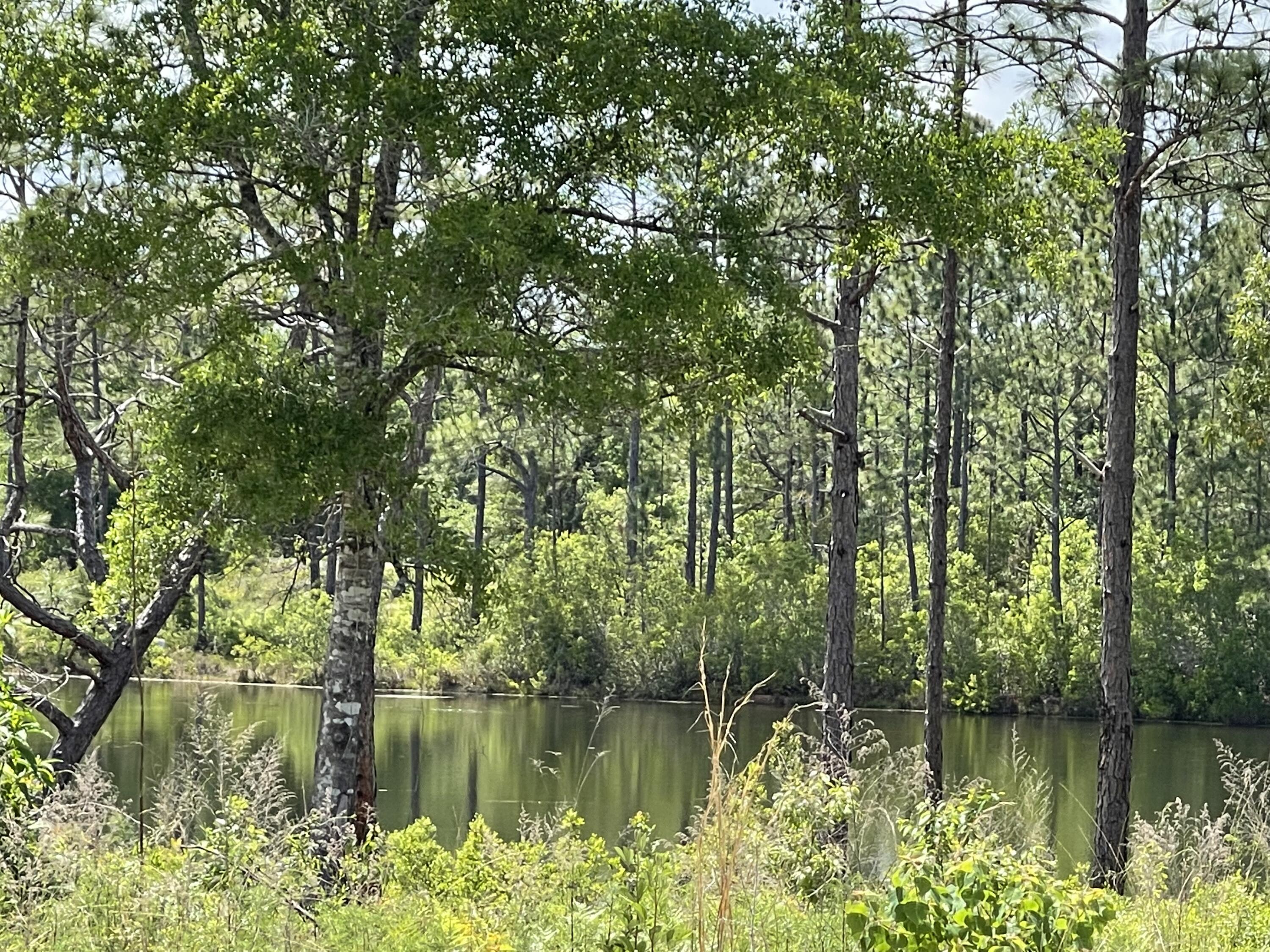 Located in Defuniak Springs, these two combined water view lots give you .73 acres of land at an EXCEPTIONAL PRICE! The Garage and Carport not only provide ample storage space, but both have a workshop area for all your hobbies! The home itself consists of a single wide mobile home and a double wide manufactured home under one roof and is adjoined by a hallway creating a total living space of 3,100 sq ft with central air/heat. The home needs work so bring your ideas or house plans as this is a bargain hunter's dream for the land alone. Call today to see this listing! ***CASH OFFERS ONLY***