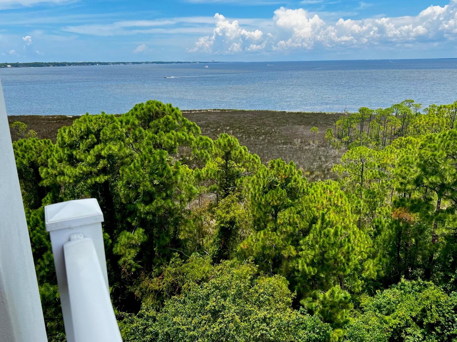 ELATION - Residential Lease