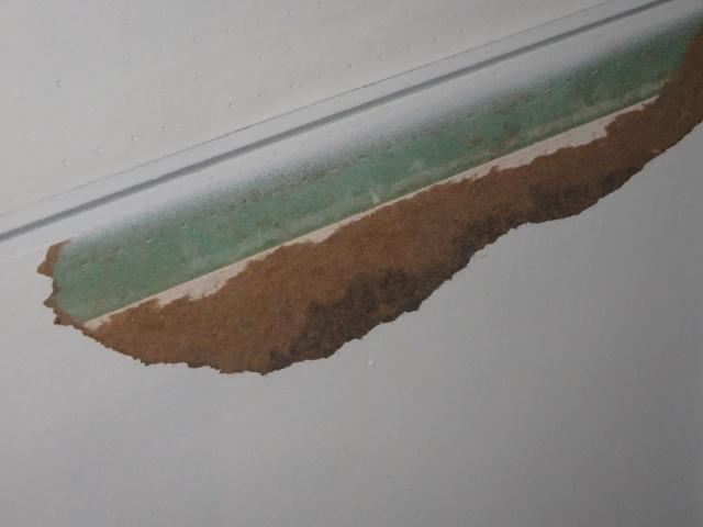 TERRACE AT PELICAN BEACH - Residential