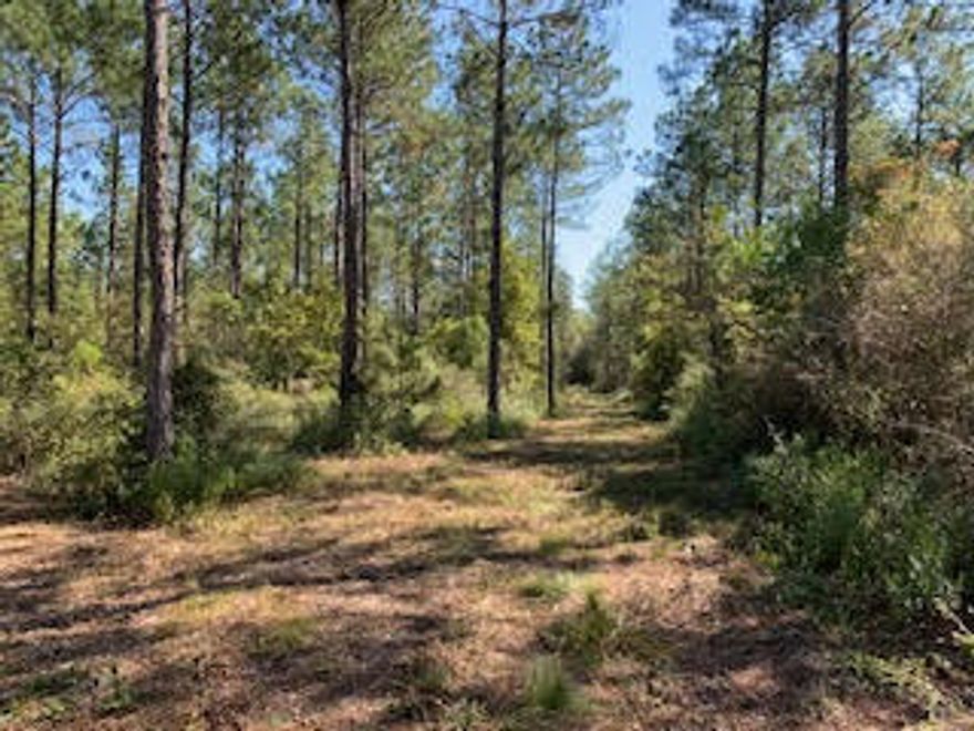 This 15+/-acre parcel of land with 461' of water frontage is available to purchase. Electricity at road, ready to run to future house. Walton Plantation has all the amenities for outdoor enthusiast and hunting fans! This gated community has miles of maintained dirt roads, thousands of recreational acres for hunting, hiking, ATV riding, fishing, gardening & a Campground Chapel with restrooms for owners to use and enjoy.