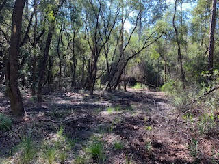 WALTON PLANTATION - Land