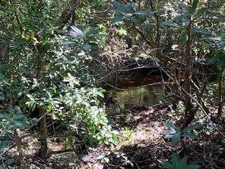 WALTON PLANTATION - Land