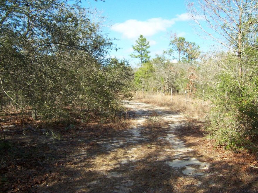 Excellent location between Freeport and DeFuniak on Rock Hill Rd. Approximately 13 lightly wooded acres. Partially fenced. Driveway in place. Some old buildings and a previous foundation on the property. Needs lots of clean up, but would make an amazing home site. There is a small cypress pond and wet area towards the rear of the property in the middle. Mostly level. Less than 45 minutes to the beach and 15 minutes from town.
